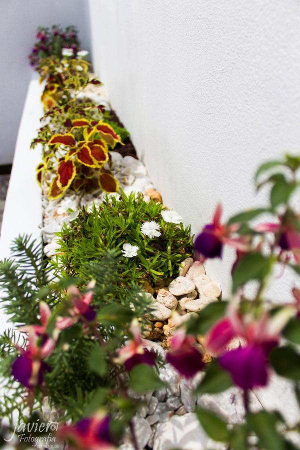 Lofts En Cuernavaca Con Alberca Climatizada Aparthotel Εξωτερικό φωτογραφία